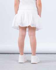 Embroidered skirt